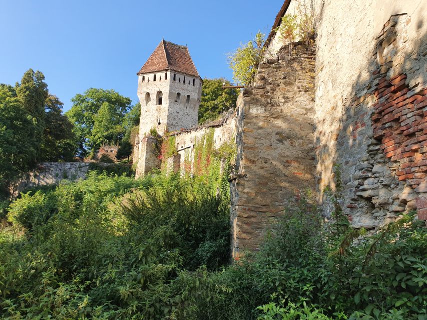 Real Dracula Princely Court and Real Dracula's Fortress - Curtea de Argeș and the old royal center