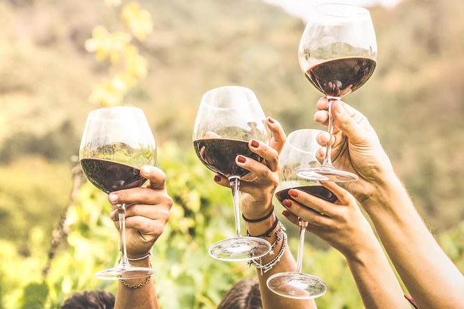 Romanian Wine Tasting - Five useful things to know before booking