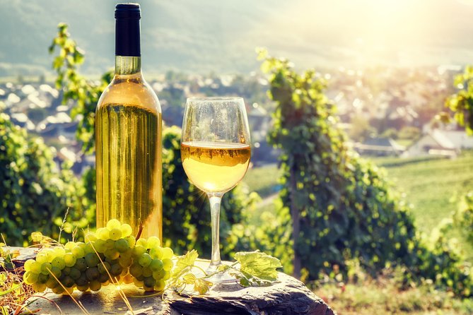 Romanian Wine Tasting - Budureasca Winery: learn the rules of the glass
