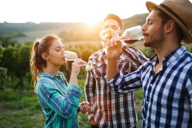 Romanian Wine Tasting - LacertA Winery: begin with how Romanian wine is made