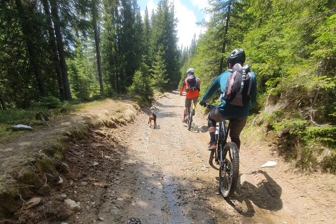 Sambata de Sus: E-Bike Guided Tours - Brancoveanu Monastery adds a quieter second act
