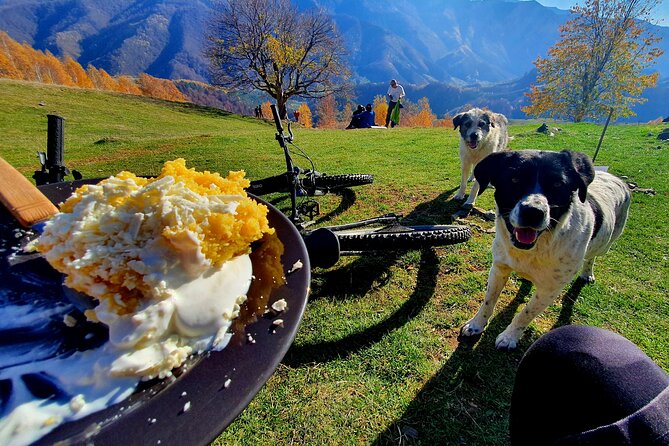 Sambata de Sus: E-Bike Guided Tours - The price: fair for a guided mountain ride
