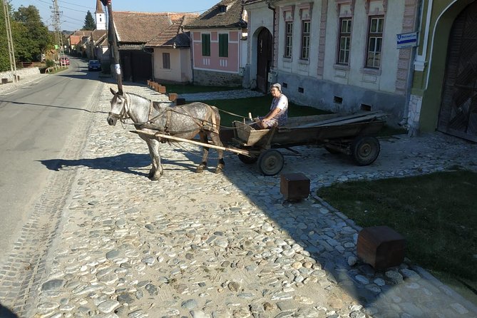 Saxon Heritage in Transylvania: Day Trip from Cluj-Napoca - Transport, group size, and the real rhythm of the day