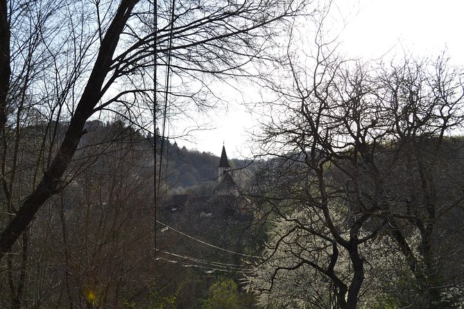 Saxon Heritage in Transylvania: Day Trip from Cluj-Napoca - Is $129.86 a fair price?