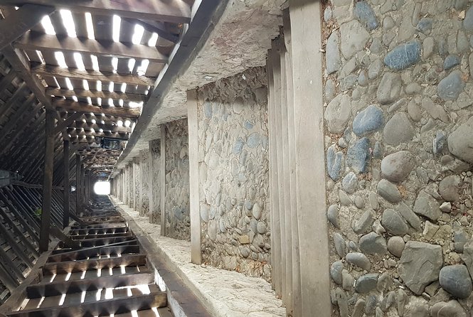 Secrets of the Citadels: Brașov, Viscri, Sighișoara and Sibiu - Who will enjoy this most?