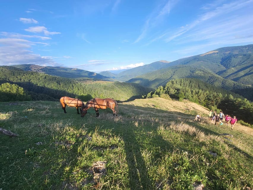 Sibiu: Cindrel Mountains Hike with Traditional Brunch - MGS Cabin and the Transylvanian brunch