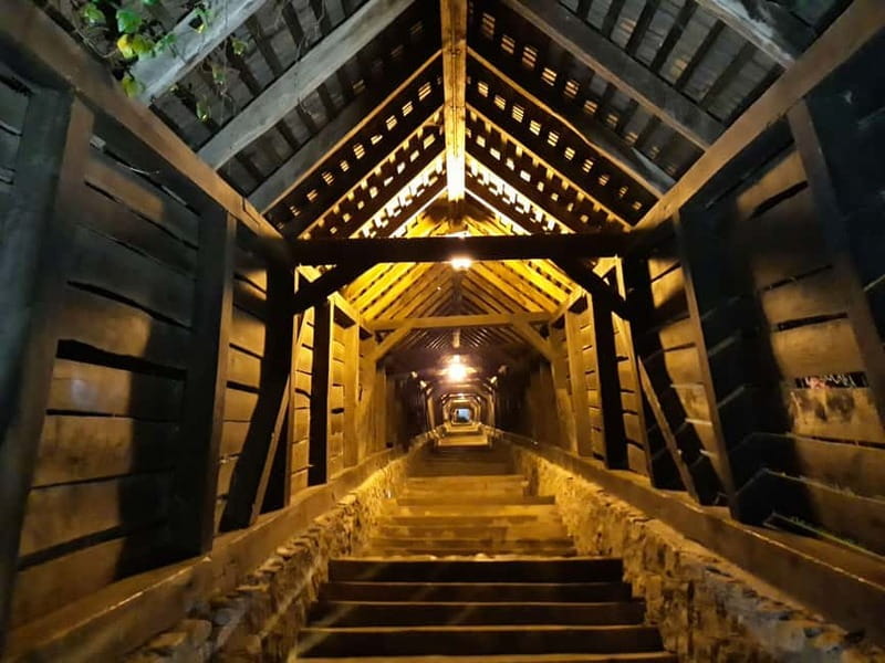 Sighisoara & wine tasting (from Cluj) - Climbing the Covered Staircase and Clock Tower