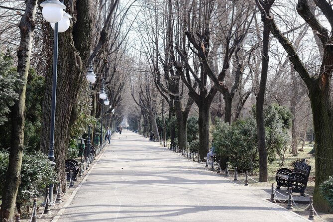 Slavery in Romania Myths and Truths About Gypsies - Cismigiu Park, school, and monastery remains