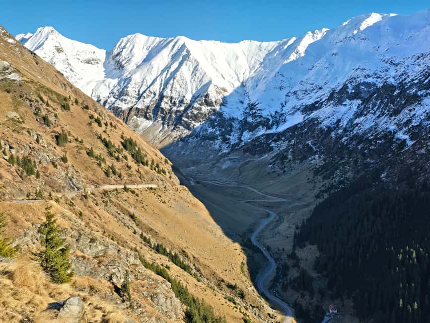 Small group Bears 'Safari' on Transfăgărășan -max 7 tourists - The bear sightings are exciting, but never guaranteed