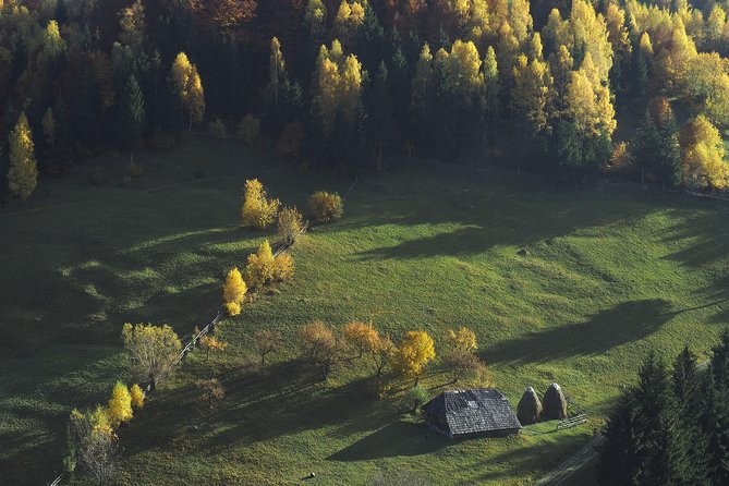 Small-Group Day Trip in Romanian Authentic Mountain Villages from Brasov - Peștera Brings the Day to a Homemade Table