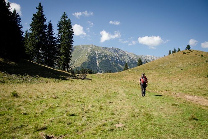 Small-Group Day Trip in Romanian Authentic Mountain Villages from Brasov - Guides Make the Difference