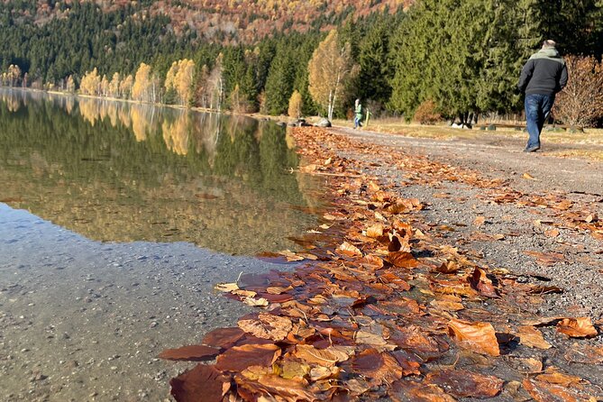 Small-group day trip to the unique volcanic lake in Eastern Europe - Tusnad Bai mineral springs and a local-style finish