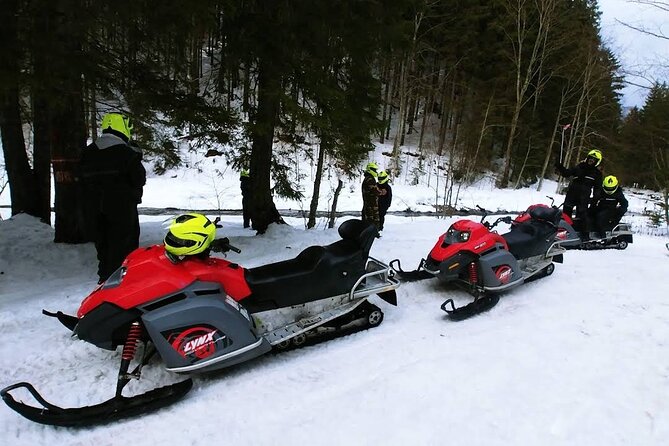 Snowmobiles, Sky Lift & Winter Sports - Private Tour - Sky lift and winter sports