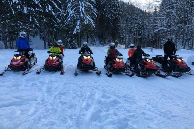 Snowmobiles, Sky Lift & Winter Sports - Private Tour - What the guide adds to a long day