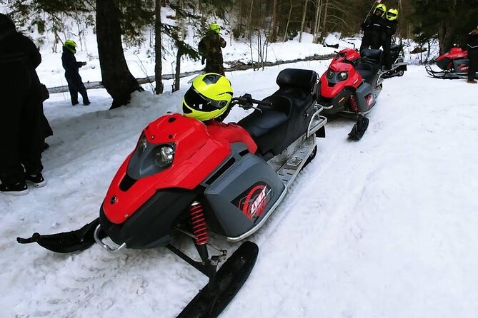 Snowmobiles, Sky Lift & Winter Sports - Private Tour - Price, extra charges, and real value