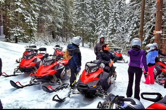 Snowmobiles, Sky Lift & Winter Sports - Private Tour - Who will enjoy this private outing