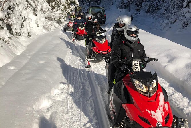 SnowMobiles Tour in Carpathian Mountains - Peles Castle brings in the history