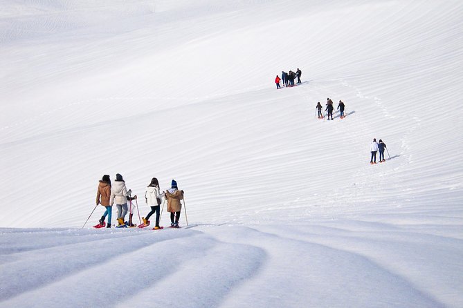 Snowshoeing Fun Tour from Cluj Napoca - What the $120.16 price means