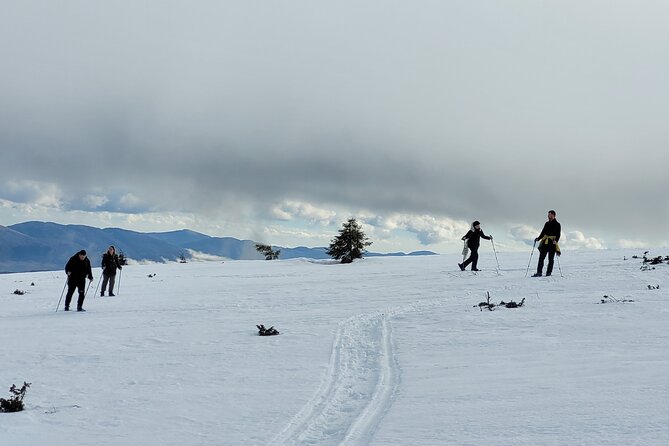 Snowshoeing Fun Tour from Cluj Napoca - Who will enjoy this outing most