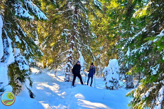Snowshoeing Fun Tour from Cluj Napoca - Snowshoes, boots, and the right winter clothing