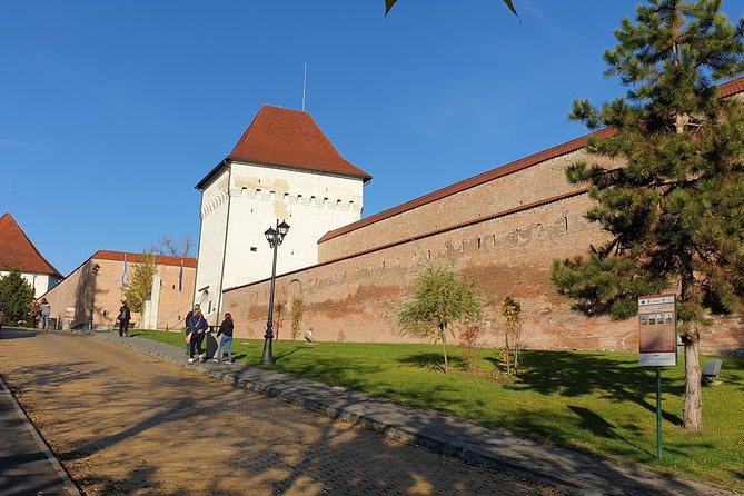 Targu Mures 3 hours walking tour - Cuza Vodă market, synagogue views, and seasonal tastes