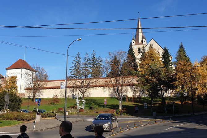 Targu Mures 3 hours walking tour - The Cultural Palace and its 14 lei admission