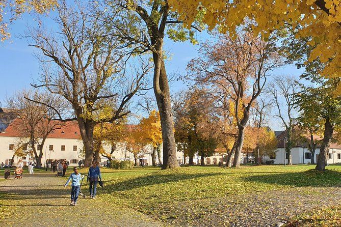 Targu Mures 3 hours walking tour - Teleki-Bolyai Library and the Bolyai family