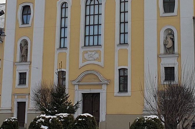Targu Mures 3 hours walking tour - Târgu Mureș Fortress and the oldest church