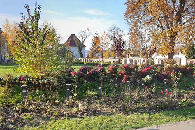 Targu Mures 3 hours walking tour - The mayor’s house and the city’s layered architecture