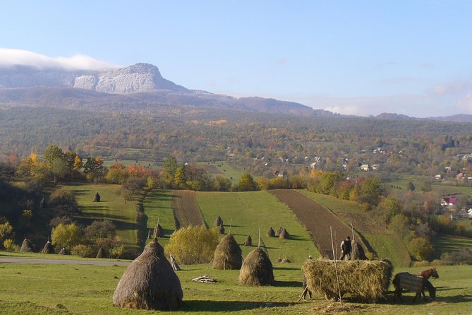The Best of Maramures in One Day - The Merry Cemetery’s painted view of death
