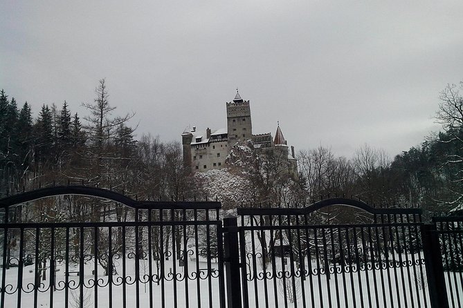 The Castles from the Carpathian Mountains! The Fixers Private Tour - Why the private car matters on such a long route