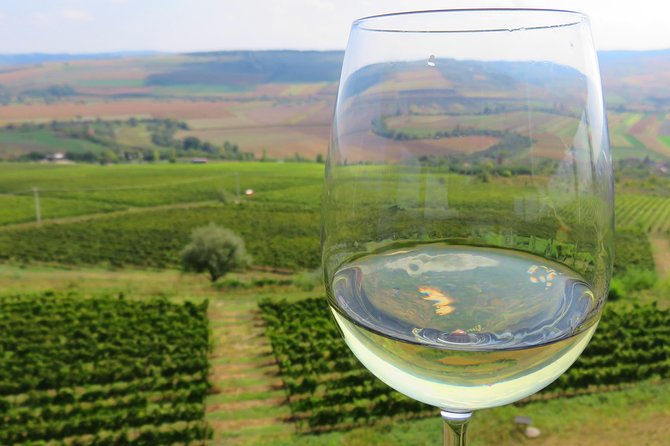 The wine route by bike - Key points to know before booking