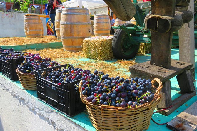 The wine route by bike - Why this bike tour is different from a standard Bucharest day trip