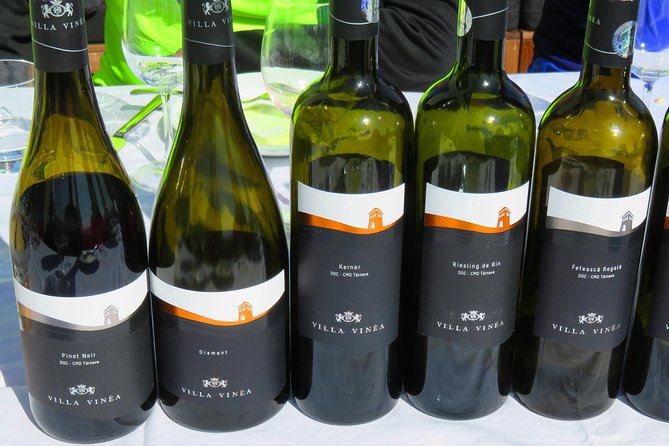 The wine route by bike - The short ride to Crama Serve Ceptura