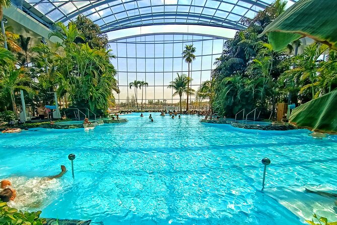 Therme Bucharest Tickets and Water Theme Park - Why Therme Bucharest is more than a swimming pool