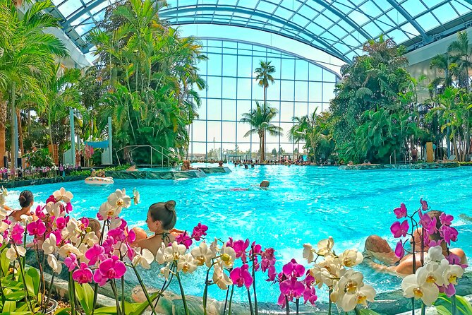 Therme Bucharest Tickets and Water Theme Park - PALM: tropical plants, warm pools, and a sandy beach