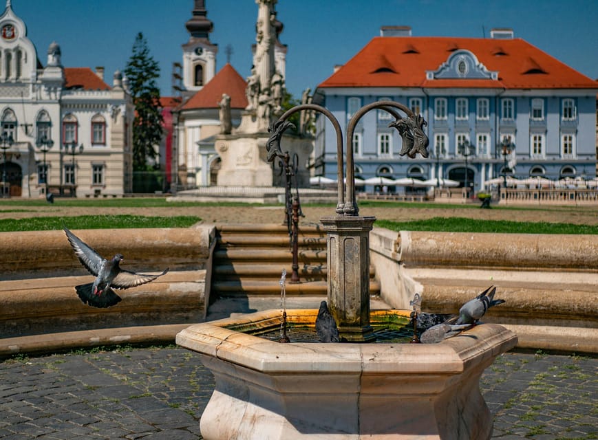Timisoara: Private Walking Tour with a Local Guide - Languages and guide quality