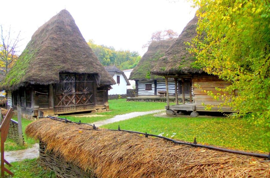 Traditions in Bucharest: Village Museum and Wine Tasting - Why this half-day tour works