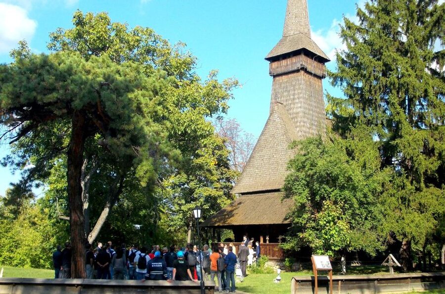 Traditions in Bucharest: Village Museum and Wine Tasting - Who should book this Bucharest experience?