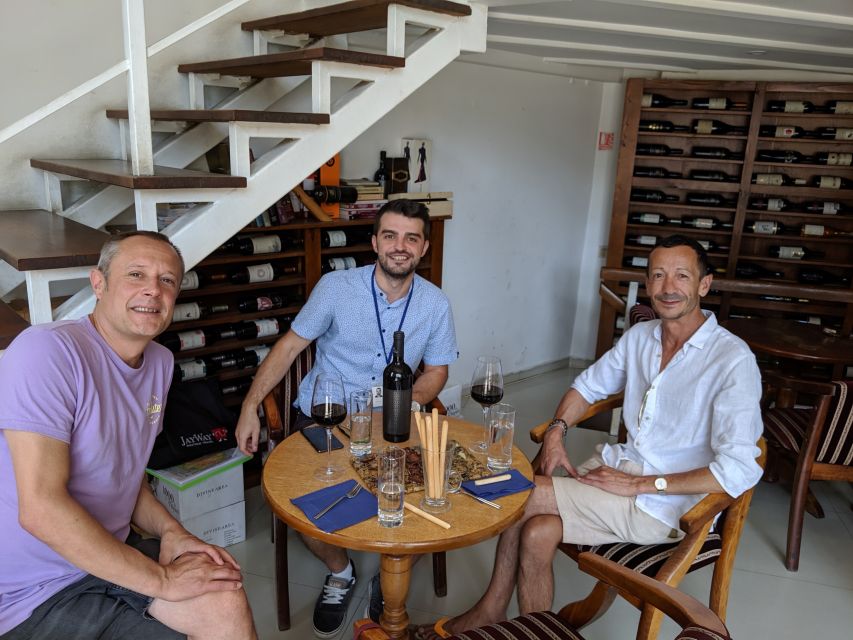 Traditions in Bucharest: Village Museum and Wine Tasting - The Village Museum: rural Romania inside King Michael Park