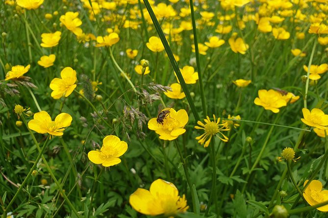 Transfagarasan Highway and Balea Lake E-Bike Tour - Balea Waterfall and the final climb