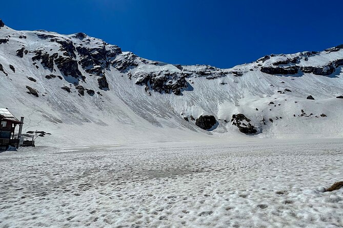 Transfagarasan Highway and Bran Castle Day Trip From Brasov - Who should book this experience?