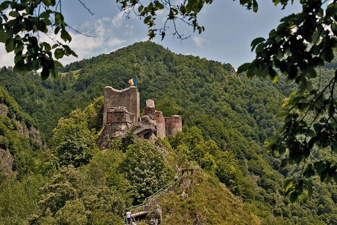 Transfagarasan Road & Balea Lake - Private Tour from Bucharest - The private vehicle, guide, and onboard Wi-Fi