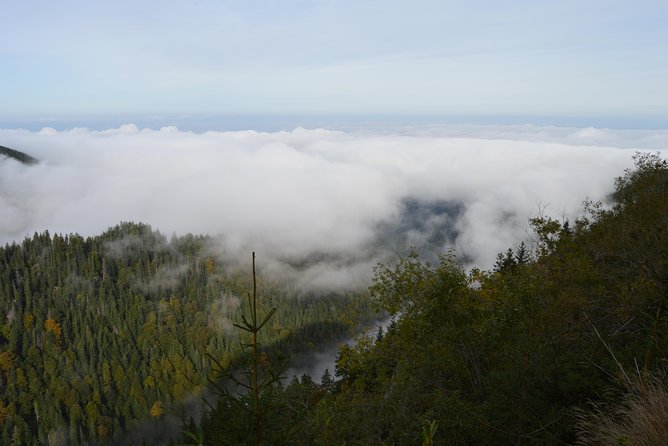 Transfagarasan, Vidraru and Poenari Fortress Tour from Sibiu - Curtea de Arges Monastery and the royal connection