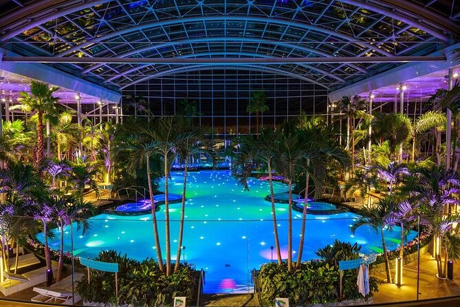 Transfer and Full Access All Day at Therme Spa Bucharest - Galaxy, Palm, and Elysium: three different moods
