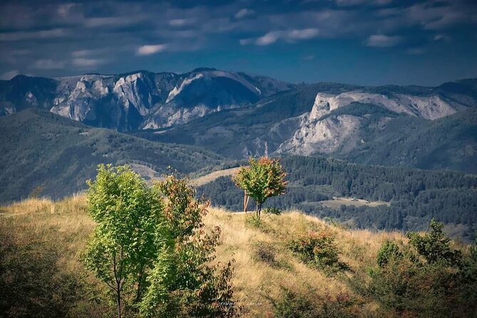 Transfer Bucharest -Brasov with Targoviste and Bran Castle visits - A guide who adjusts the day to you