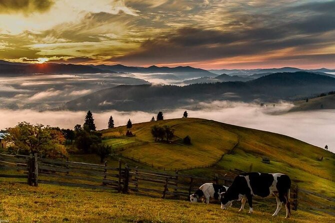 Transfer Bucharest -Brasov with Targoviste and Bran Castle visits - Is the $190.81 price fair?