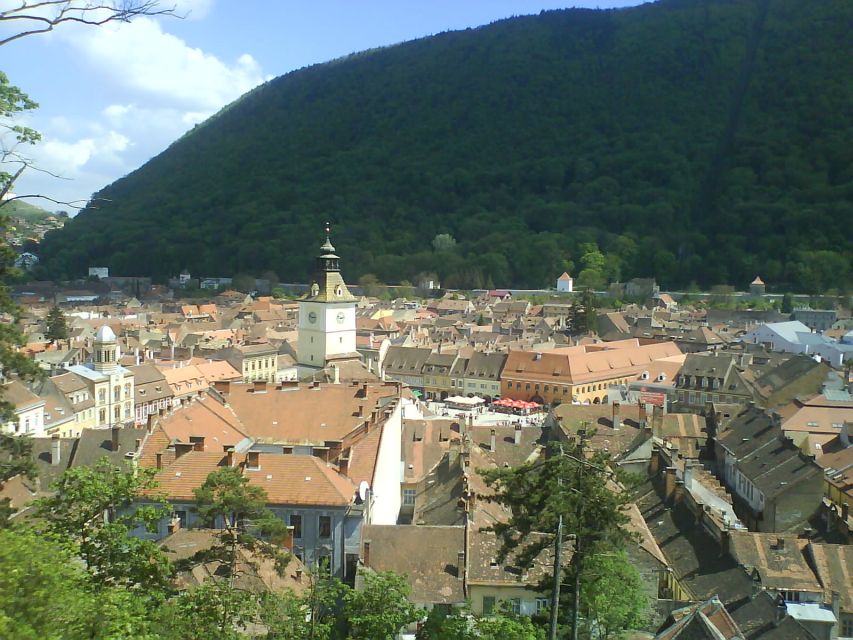 Transylvania: Cultural Full-Day Trip by Minivan - Bran Castle, Dracula, and the limits of the legend