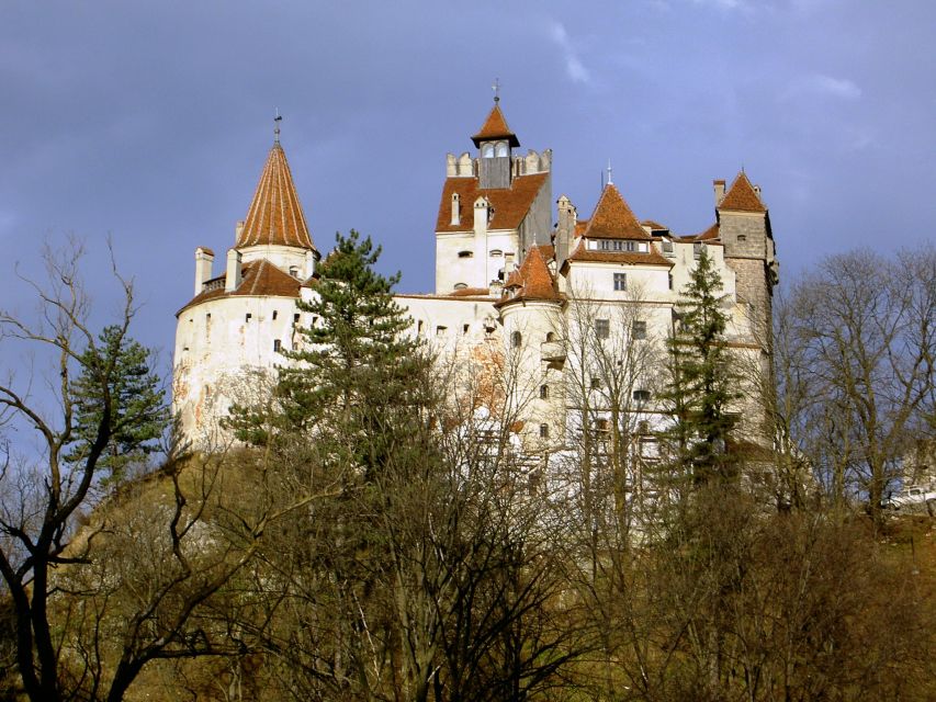 Transylvania: Cultural Full-Day Trip by Minivan - The minivan, guide, and long return to Bucharest
