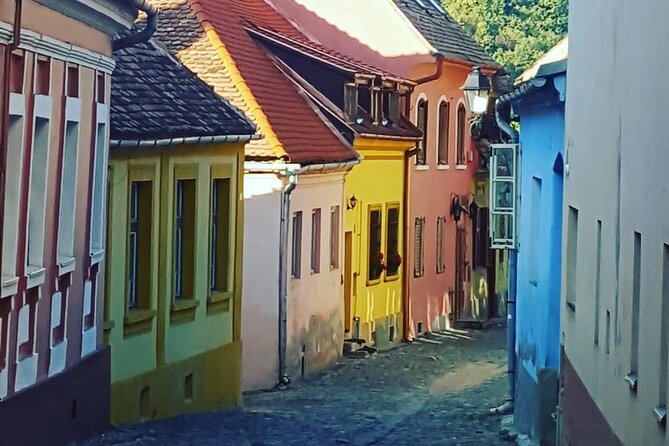 Transylvania Region In-Depth (5 Days Private Tour from Bucharest) - The Guide and the Private-Tour Advantage